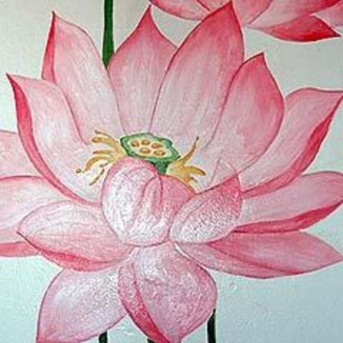 Lotus