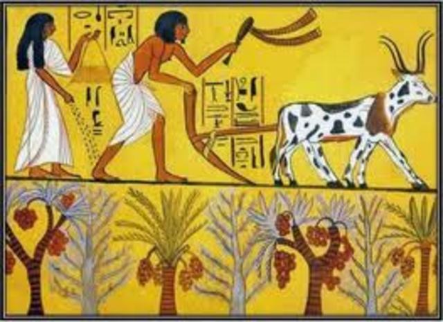 10,000 A.c. Agricultura y edificaciones de piedra