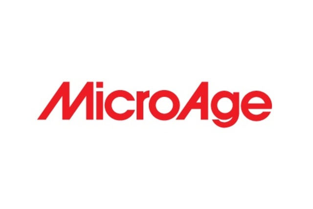 Theresa's First Full-Time Job (MicroAge, now Metafore)
