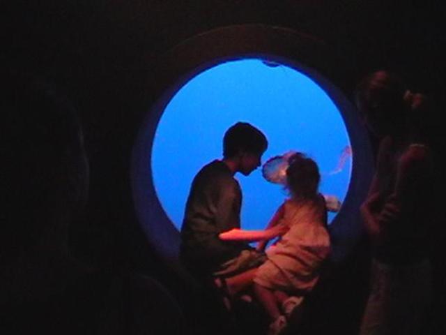 First time seeing a Jelly fish