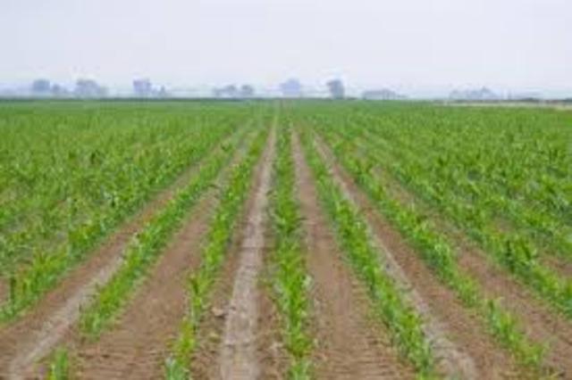 Aprovechamiento de la tierra