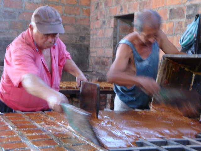 Visita al Trapiche San Cristobál