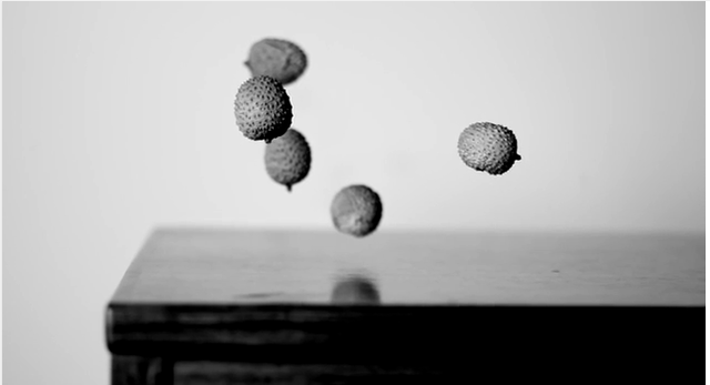 I think i might be drunk