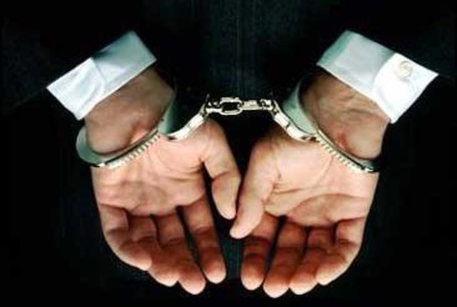 Баумгертнер задержан в Минске