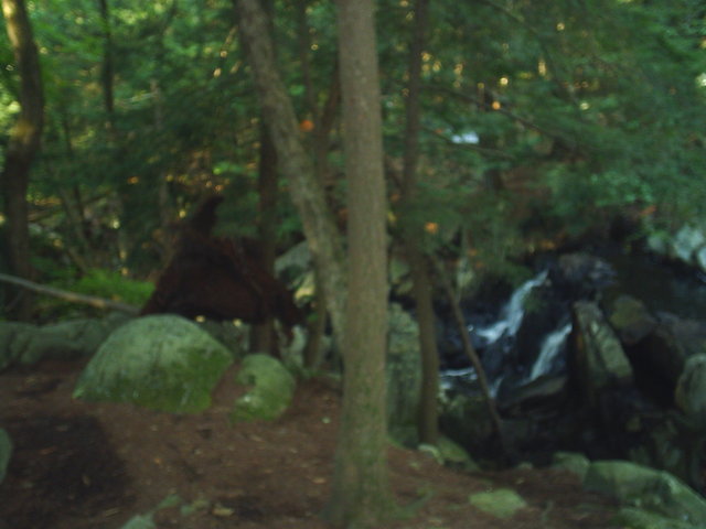 Counselor at Eden Village Camp