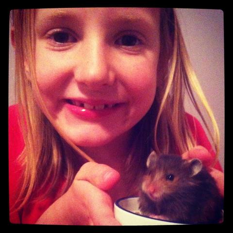 Jillian Grace Lanesmith was born