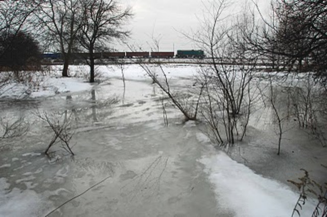 Liesel Meminger's brother died