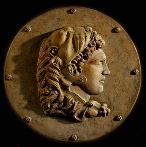 With discipline restored, Alexander invaded the Punjab.