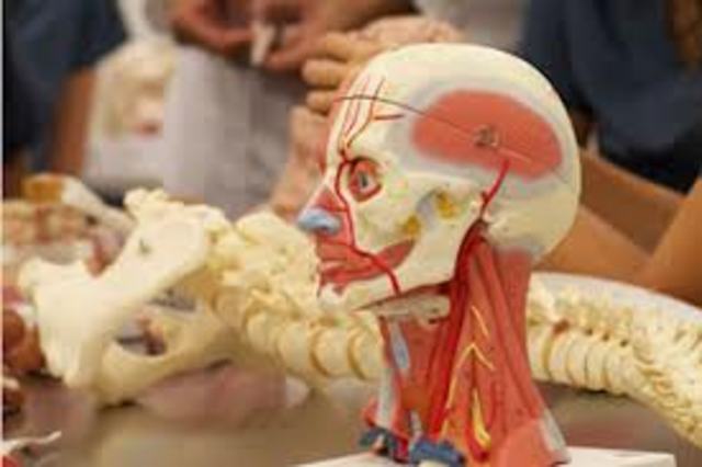 Conocimiento dle organismo humano