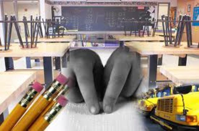 Individuals with Disabilities Education Improvement Act (IDEIA)