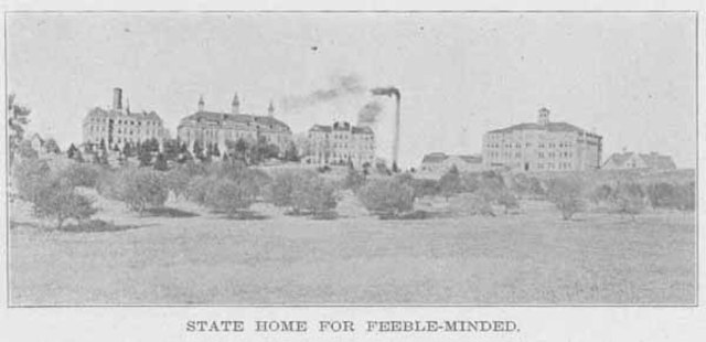 Department of Public Welfare V. Haas