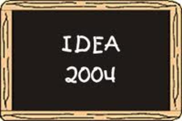 IDEA 2004