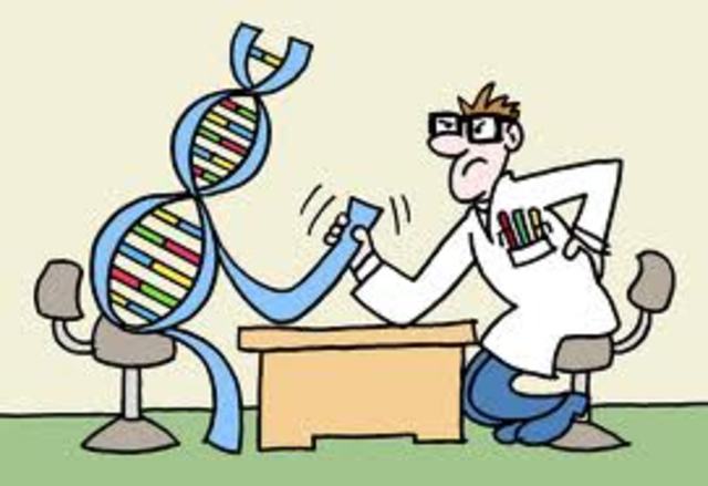 Mantener la dignida esclesiastica