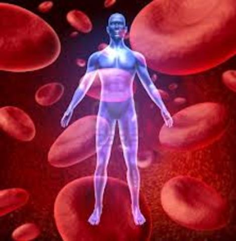 Descubrimiento circulacion sanguinea