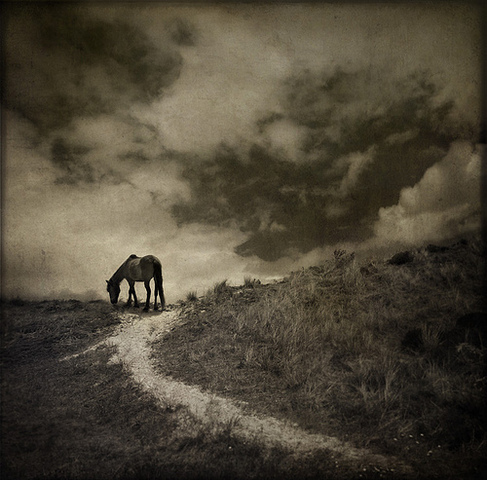 King James cancels charter