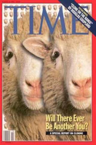 Scientists Clone Sheep