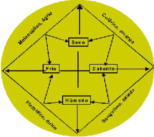los cuatro humores del cuerpo en la cruzadas