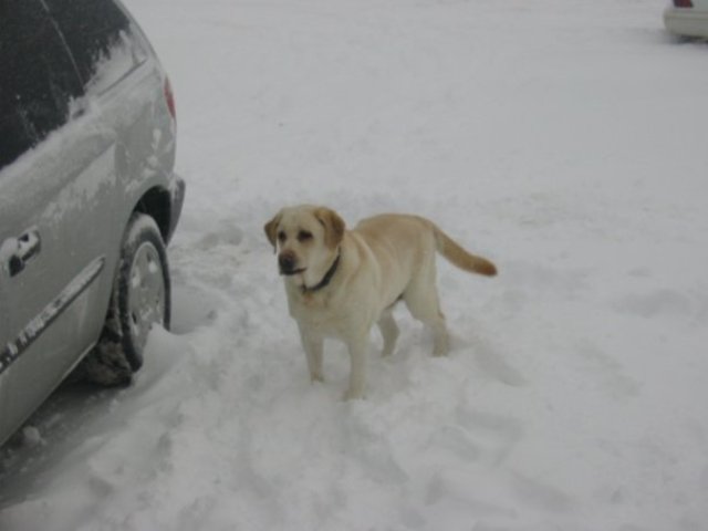 Life change in family