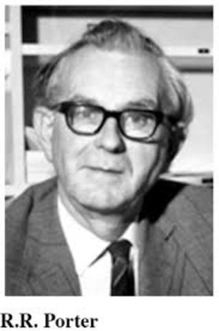 R.R Porter y G.M Edelman establecen la estructura de las inmunoglobulinas.