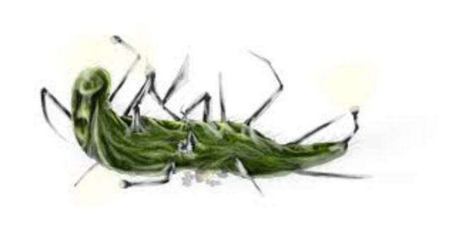 A Dreadful Night Out In the Maze