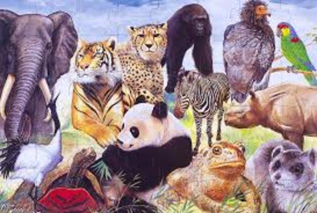 Endangered Species Act