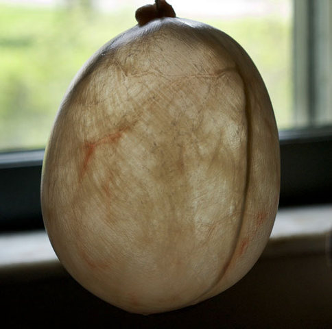 The first soccer ball that was made of rubber