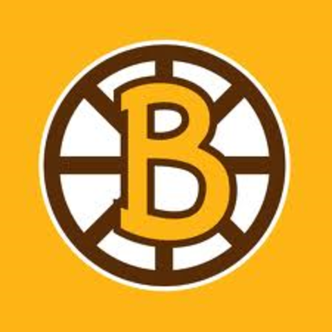 1st American NHL Team (Boston Bruins)