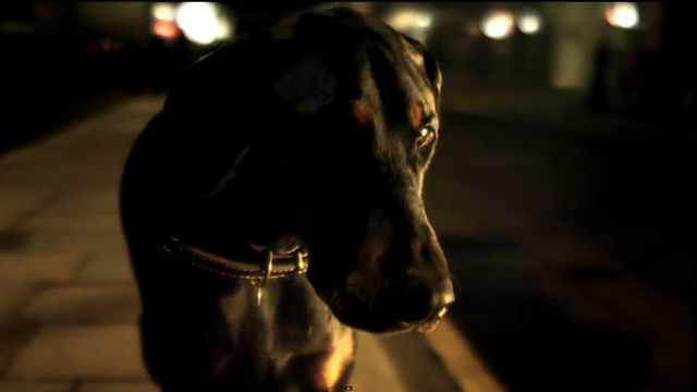The dog acts as a prop - the colours of the dog go hand in hand with the colour scheme within the video (black and gold). The dog (part of Delilah's costume) adds a dominant layer to the artist. The lighting makes the dog look menacing and mysterious