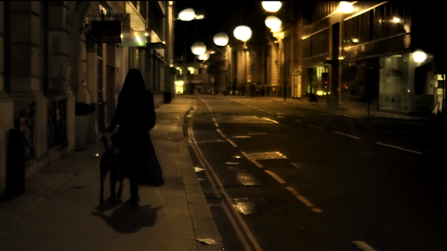 The final shot of the video (a wide shot) makes the city scape setting clear - we see the dog with the artist as well as the full costum. which has remained the same through the entire video.