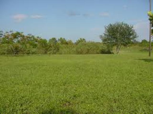 Free land attracts colonists