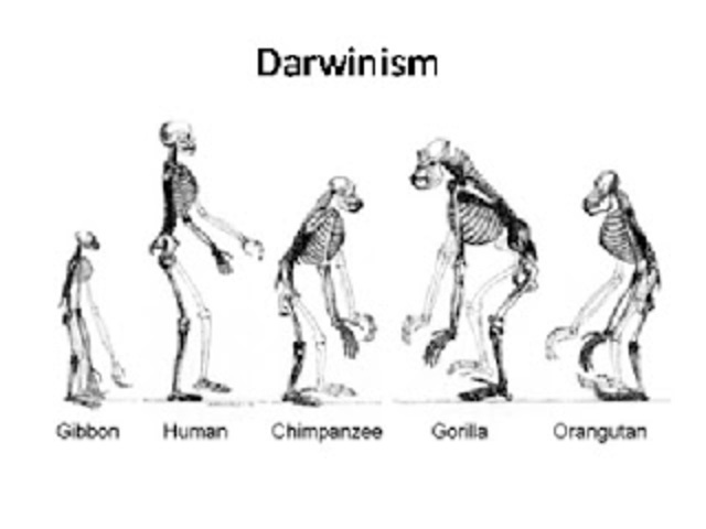 Social Darwinism