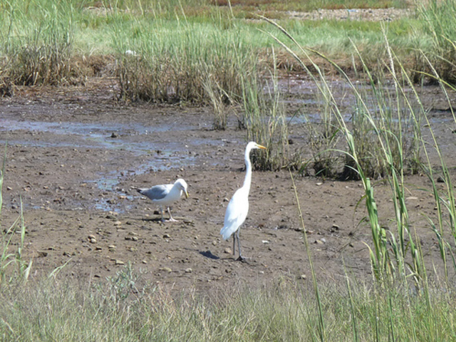 Comprehensive Enviromental Response, Compensation, and Liability Act