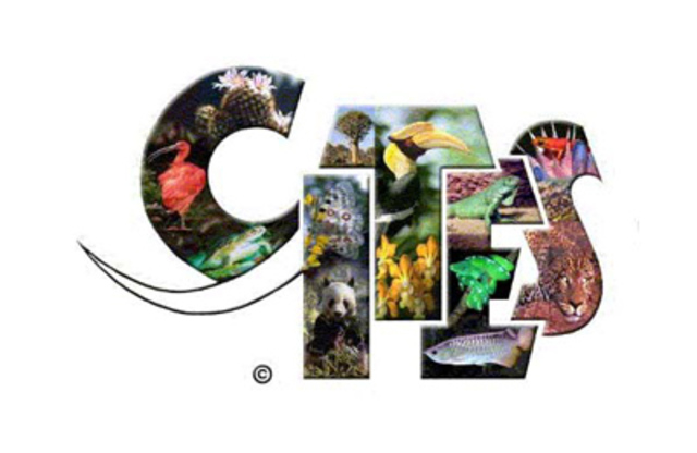 Convention on International Trade in Endangered Species