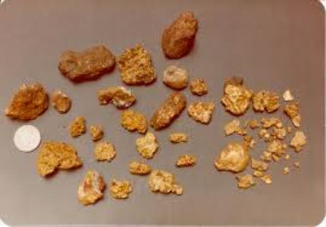 California Gold rush