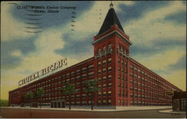 Buisness Sky Rockets