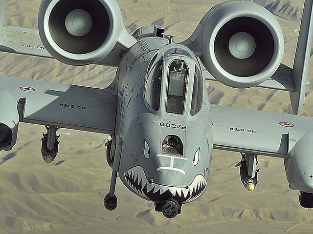 A-10 Thunderbolt(2)