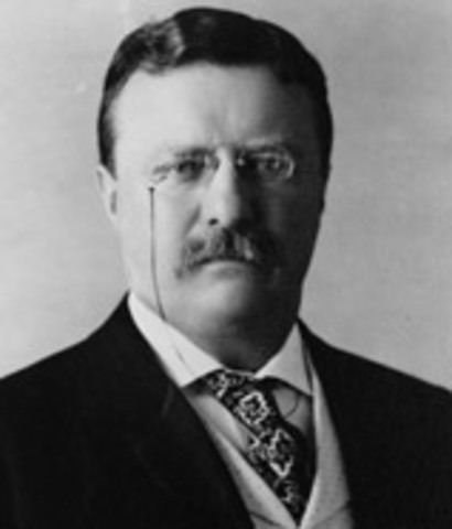 Teddy Roosevelt