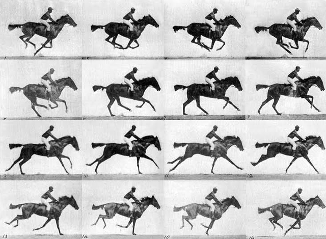 First Motion Picture