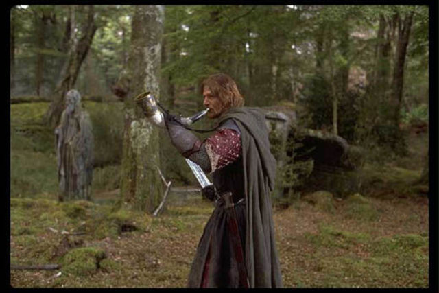 Lord of the Rings: Fellowship of the Ring.