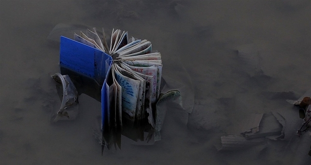 Saving The Whistler from the water