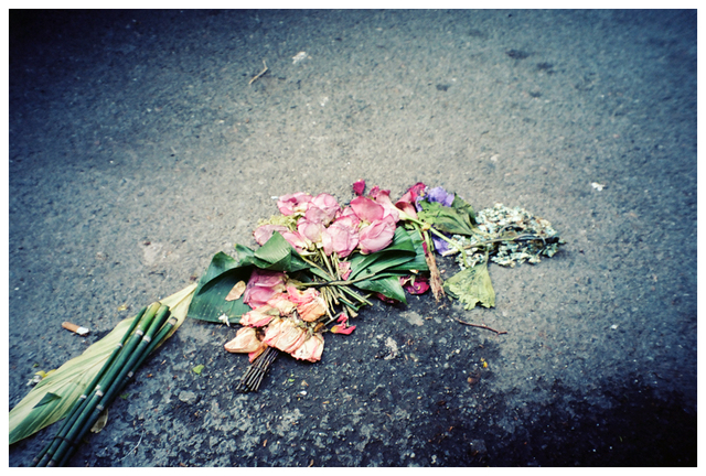 Jem cuts down Mrs. Dubose’s flowers - 137