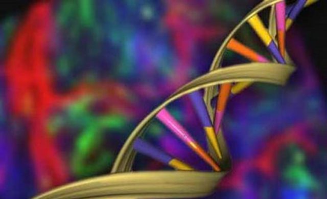 Hace 43 años atrás no existía el termino Bioética