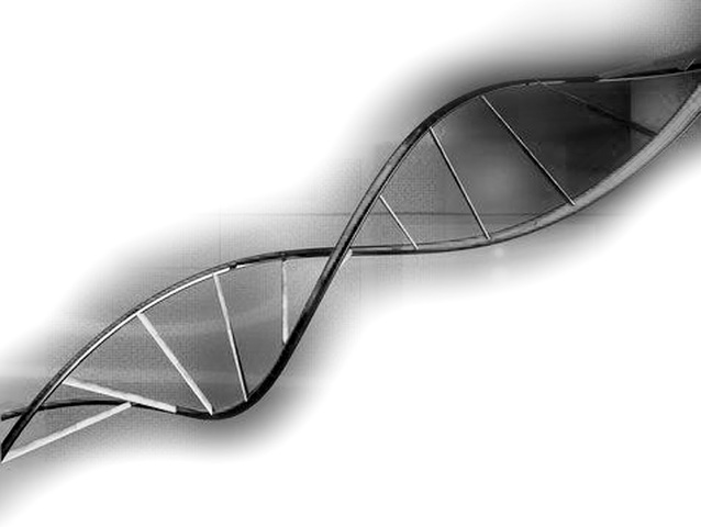 Comienzos en documentados históricos.