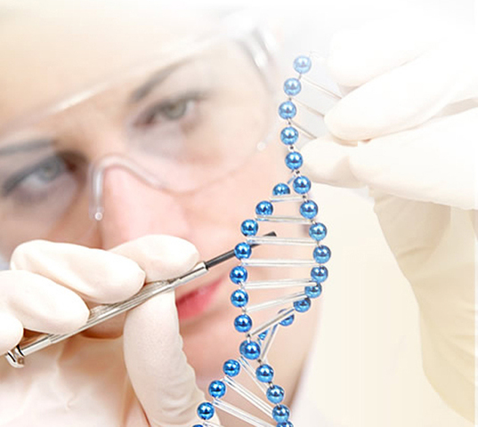 La obra Medicina pastoralis in usum confessariorum