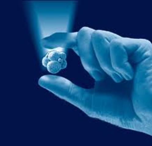 El término "Bioética" no existía en lengua alguna