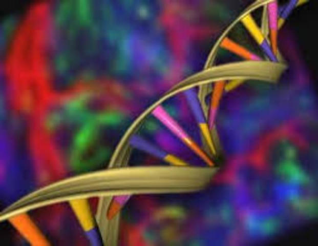 Algunos hechos que terminaron por provocar interés en problemas éticos