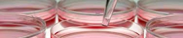 Conferencia internacional de Bioética.