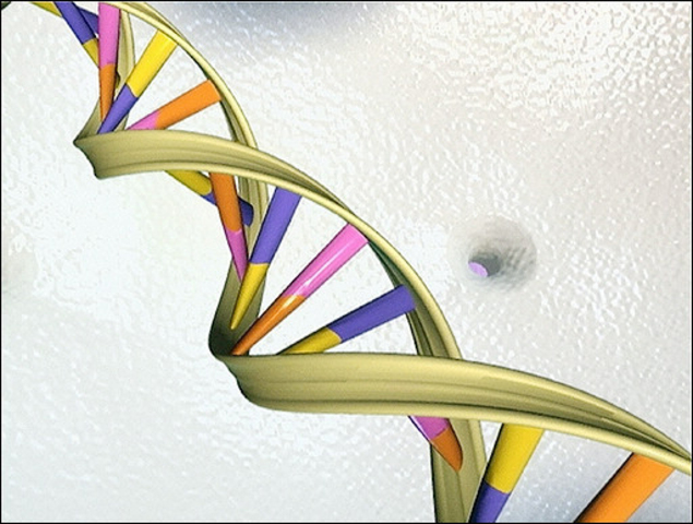 Descoberta do Código de ADN