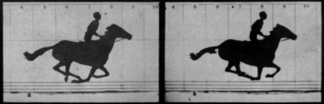 Film Started as a bet