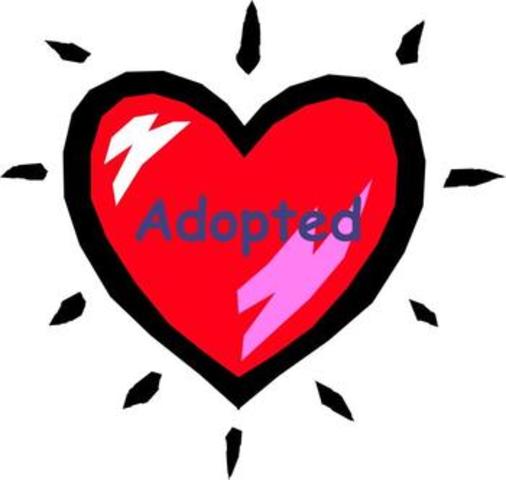 i was adopted